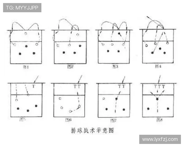 西安排球队的排球进攻战术解析与实战应用探讨 西安排球队的排球进攻战术解析与实战应用探讨